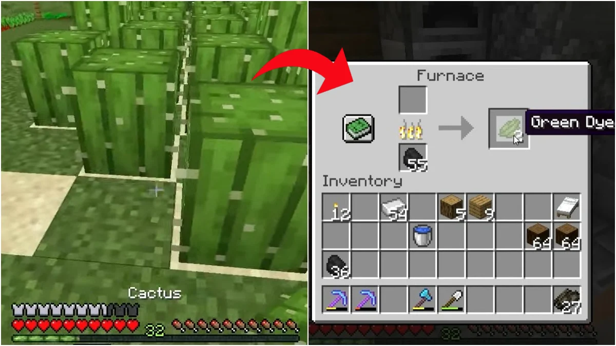 How to Make Green Dye in Minecraft